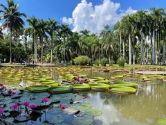 -中国科学院西双版纳热带植物园
