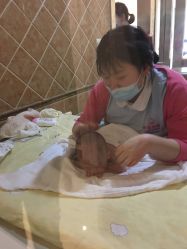 -大美臻喜母婴(重庆创始店)