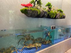 -外滩·云南人家(昆明旗舰店)