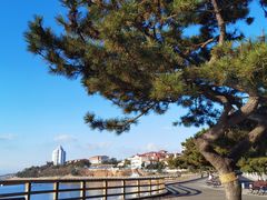 -青岛海滨风景区