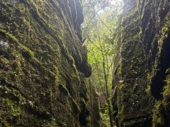 -梭布垭石林景区