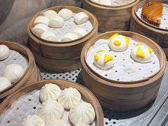 -地中海传奇水汇