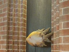 -永安鱼庄·镇江菜(东吴路店)