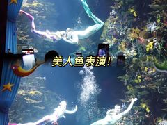 -上海乐高探索中心
