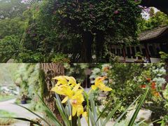 -成都杜甫草堂博物馆