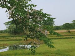 -盘龙城遗址博物院
