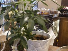 -祖母的厨房西餐厅(丽江金茂店)