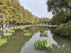 -圩墩遗址公园