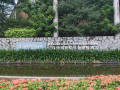 -三亚湾海居铂尔曼度假酒店