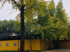 -西园戒幢律寺