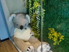 -了不起的考拉咖啡店(高新店)