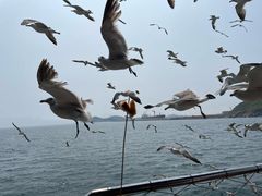 -海驴岛(荣成市)