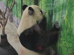 -临沂动植物园