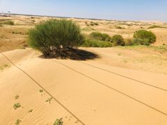 -银肯塔拉沙漠生态旅游景区