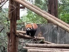 -昆明动物园