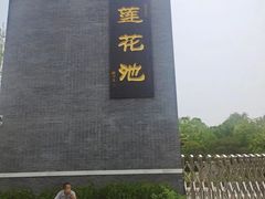 -莲花池公园