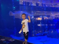 -成都浩海立方海洋公园