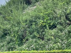 -渭南桃花源民俗文化园