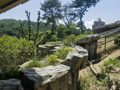 -宁波野生动物园