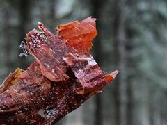 -硗碛藏寨·神木垒景区