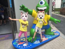-动力星球家庭亲子游乐中心