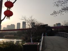 -青枫公园