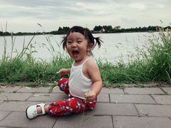 -白洋淀景区