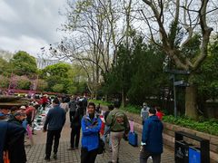 -人民公园-相亲角