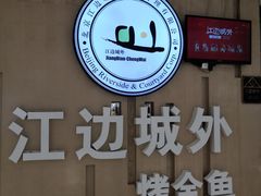 -江边城外烤全鱼(龙德广场店)
