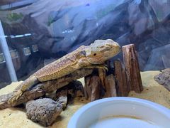 -梦幻海洋王国(吾悦广场张家港店)