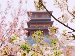 -古柏渡飞黄旅游区