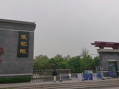 -莲花池公园