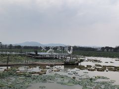 -西双版纳傣族园