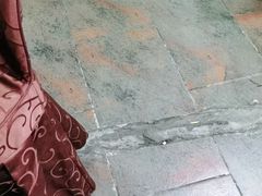 -东吴霸王兔(松青路店)
