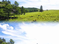 -芦芽山旅游度假区