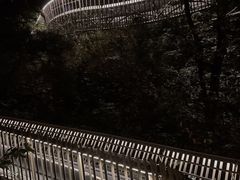-福道