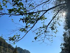 -浙西大峡谷