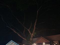 -Cheevit Cheeva(Sirimangkalajarn)