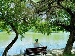-莲花山公园