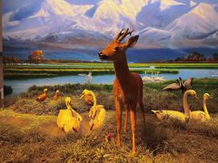 -中国湿地博物馆