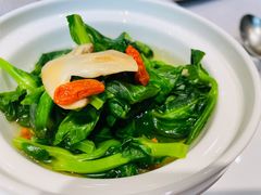 松茸高山豆苗-新光酒家·河豚·海鲜·蟹料理(浦东店)