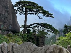 -黄山风景区