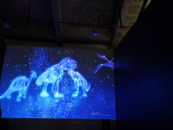 -恐龙探索乐园(磁器口店)