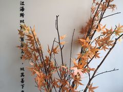 -小茶闲舍·观景商务茶馆(广州塔店)