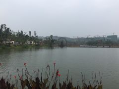 -枫香湖儿童公园