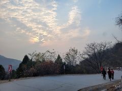 -北京西山国家森林公园