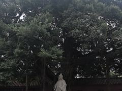 -闽粤南澳总镇府