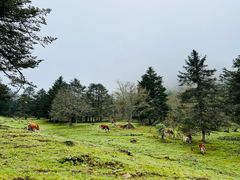 -硗碛藏寨·神木垒景区