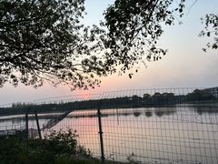 -小六农家乐(崇明西沙湿地店)