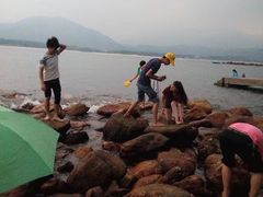 -西涌国际滨海旅游区